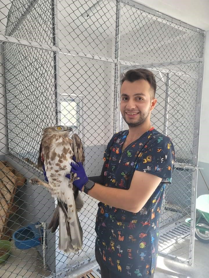 Sokak hayvanları G&uuml;roymak Belediyesine emanet
