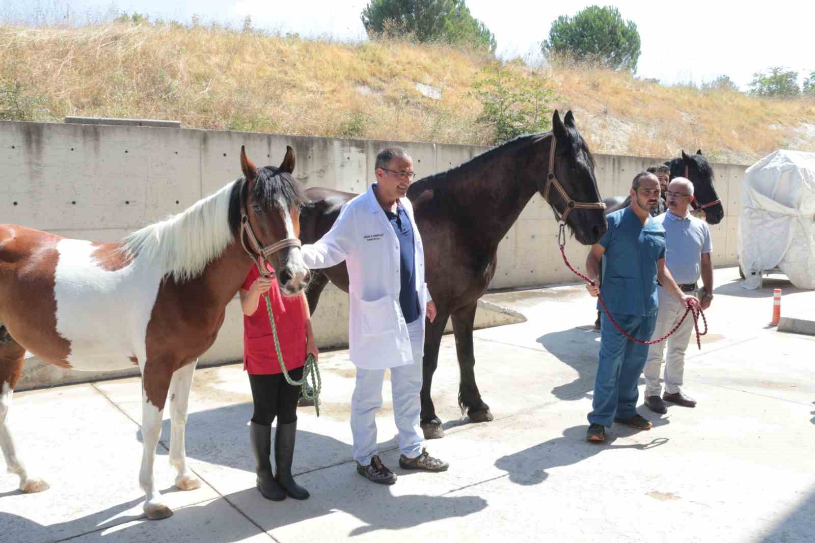 T&uuml;rkiye&rsquo;nin ilk t&uuml;p tayı d&uuml;nyaya gelecek
