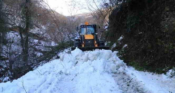 Doğu Karadeniz’de kar nedeniyle kapalı 110 köy yolu bulunuyor