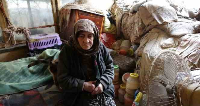 Depremzede Fatma teyze, kapkaça uğradığını gözyaşları içinde anlattı