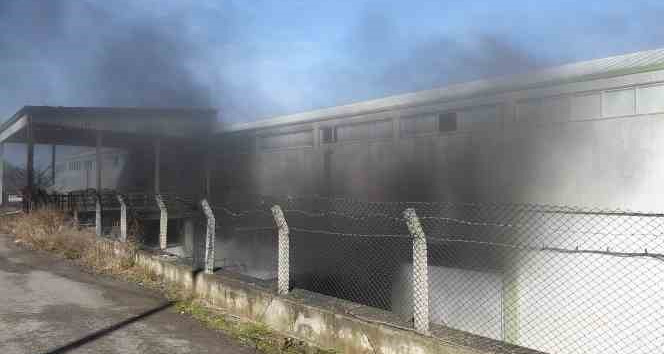 Trabzon’un Arsin ilçesinde bir depoda çıkan yangın ve yoğun duman paniğe neden oldu