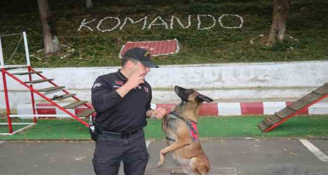Jandarmanın hassas burnu "Şila" kanserden hayatını kaybetti
