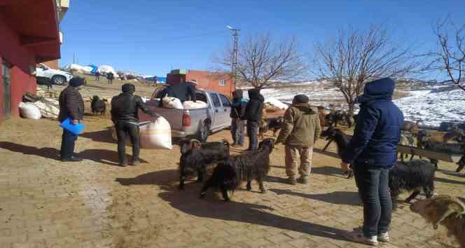Siirt’ten deprem bölgesine 100 ton yem ve saman gönderildi