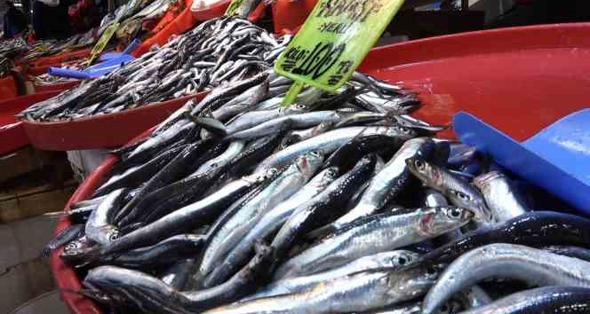 Balıkçılar Marmara’da hamsi avcılığının durdurulmasından memnun