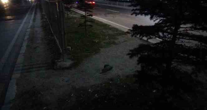 Otomobilin çarptığı yaya ağır yaralandı