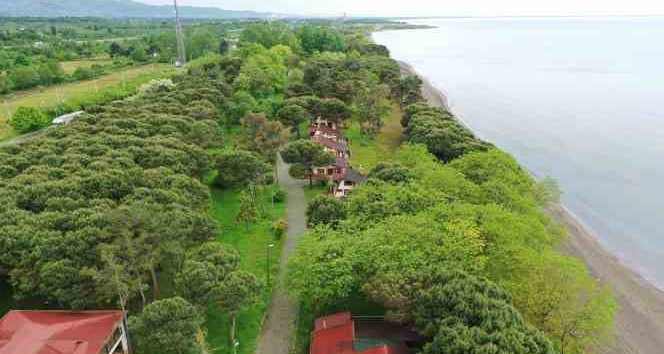 Çınarsuyu depremzedelere yuva oluyor