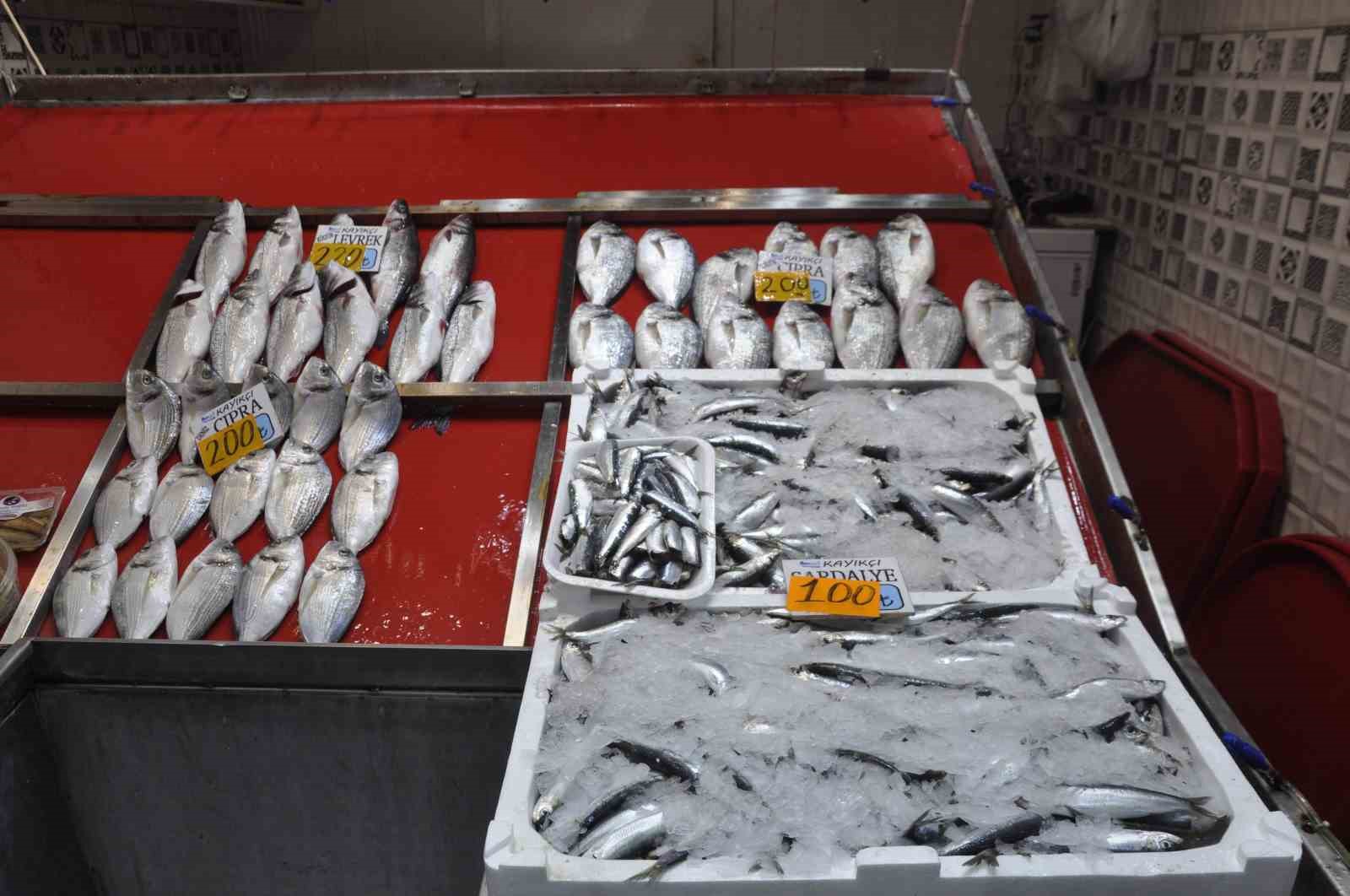 Av sezonunun ilk gününde sardalyenin fiyatı yarı yarıya düştü