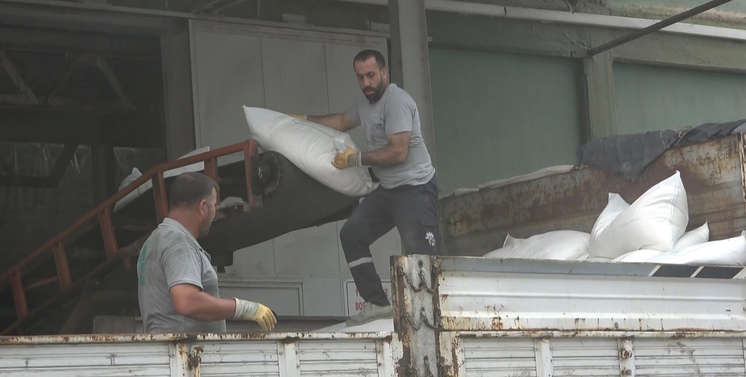 Şeker pancarı üretiminden ekonomiye 2 milyar 400 milyon lira katkı