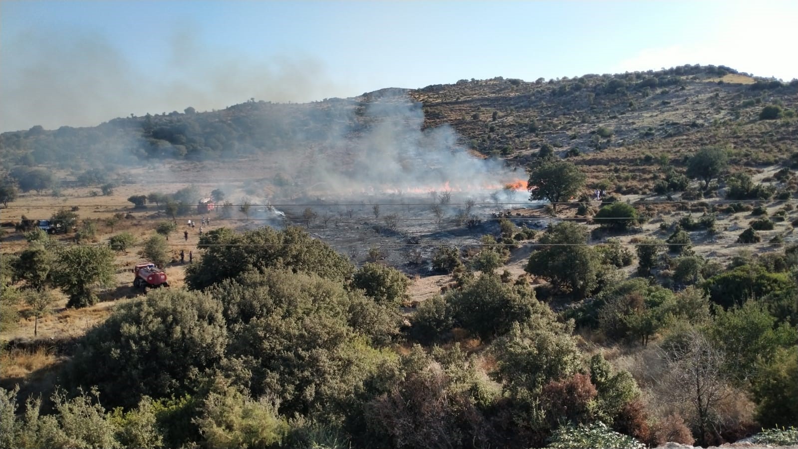 Bodrum’da makilik alanda yangın