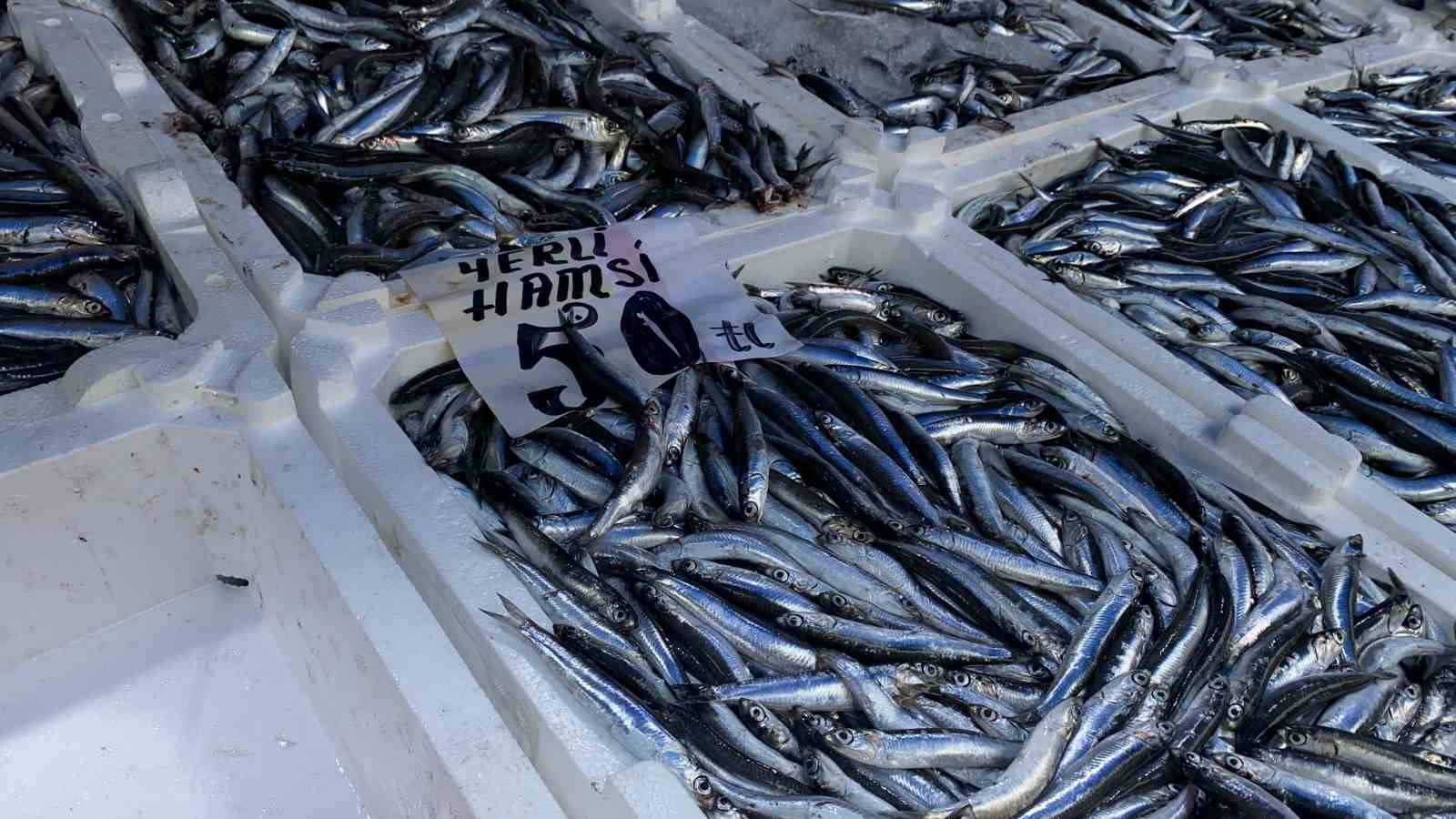 Tezgahlar hamsiyle doldu, vatandaşlar ilgi gösterdi
