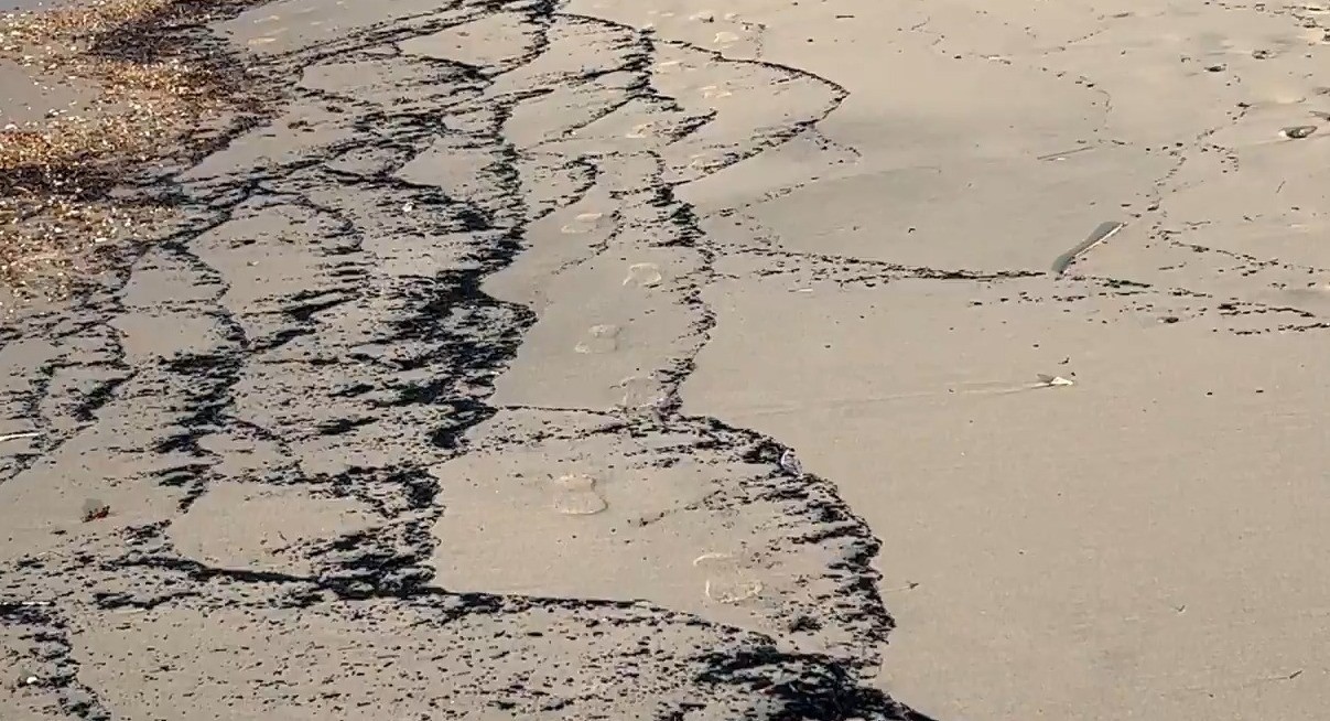 Orman yangını kalıntıları, sahili siyaha bürüdü