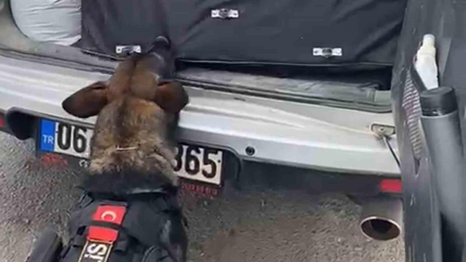 43 ilin geçiş güzergahında uyuşturucuya geçit yok: 36 kilogram ’skunk’ ele geçirildi