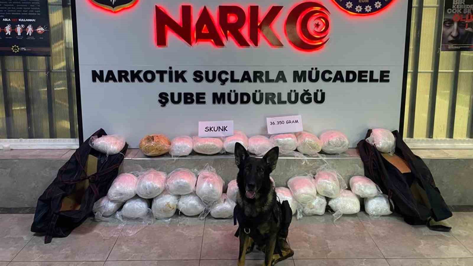 43 ilin ge&ccedil;iş g&uuml;zergahında uyuşturucuya ge&ccedil;it yok: 36 kilogram &rsquo;skunk&rsquo; ele ge&ccedil;irildi
