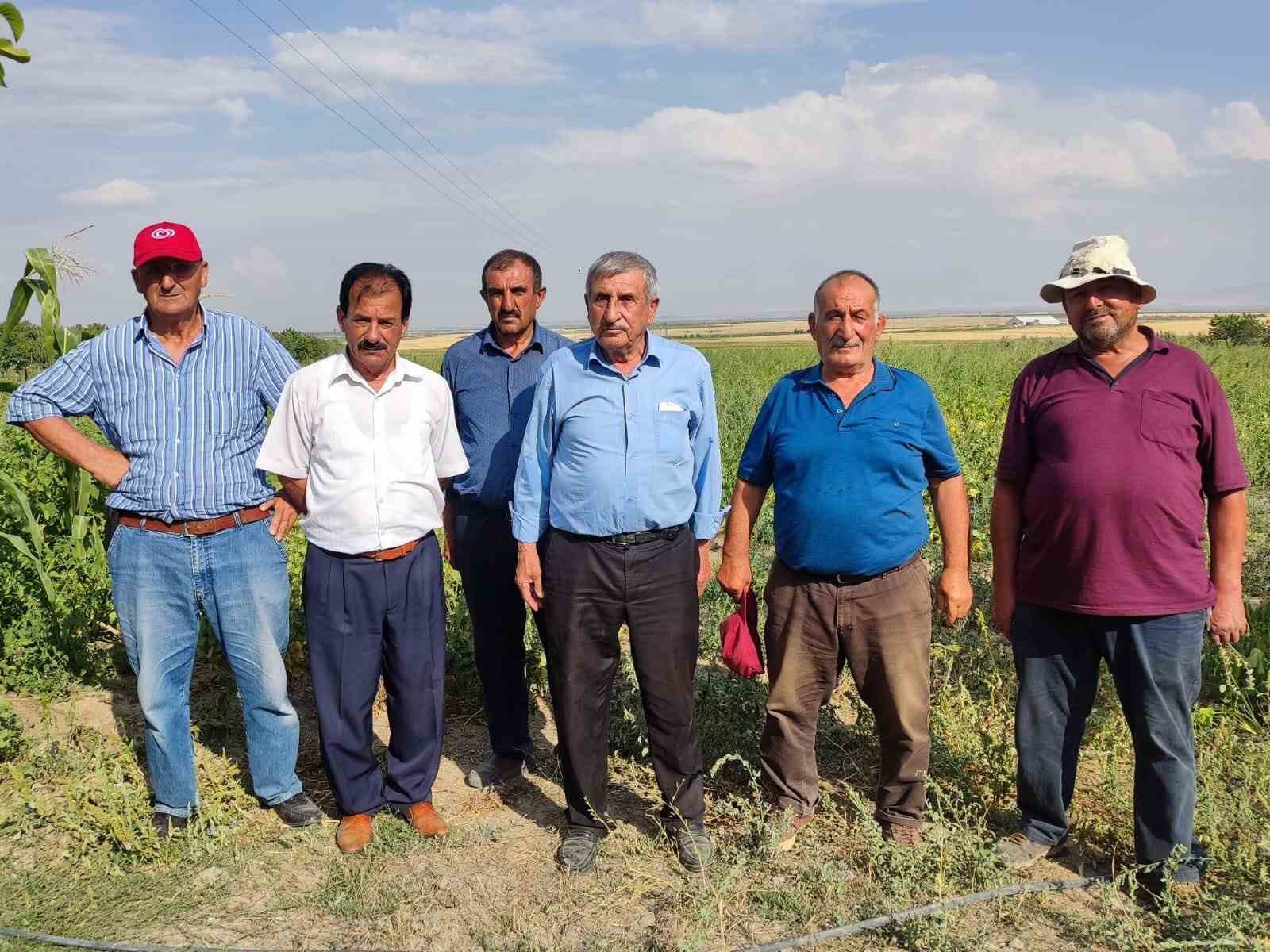 Arazi toplulaştırması çiftçileri mağdur etti