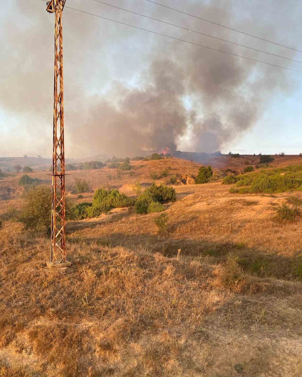 Kırklareli&rsquo;nde hasat edilen buğday tarlasında &ccedil;ıkan yangın s&ouml;nd&uuml;r&uuml;ld&uuml;
