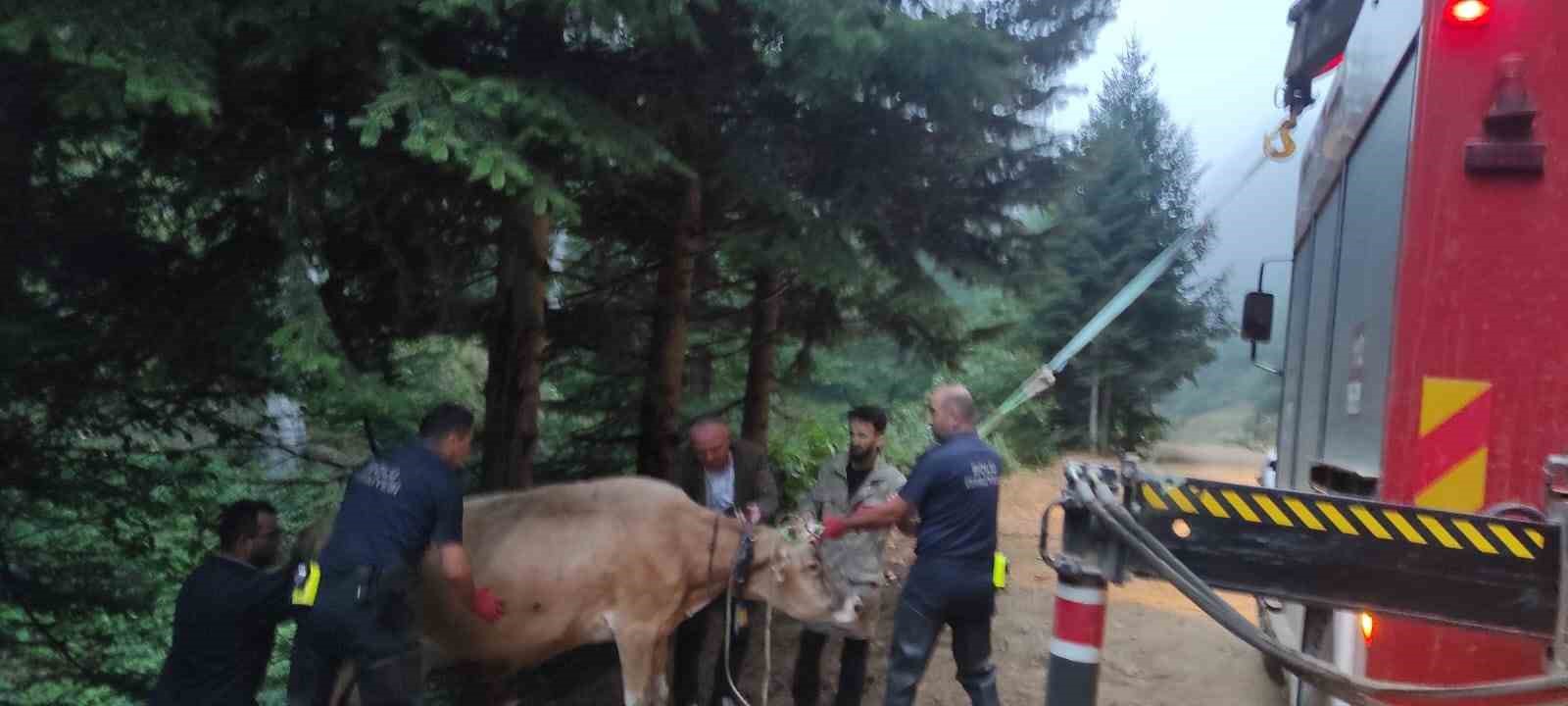 Dere yatağına giren inek itfaiye ekiplerince kurtarıldı
