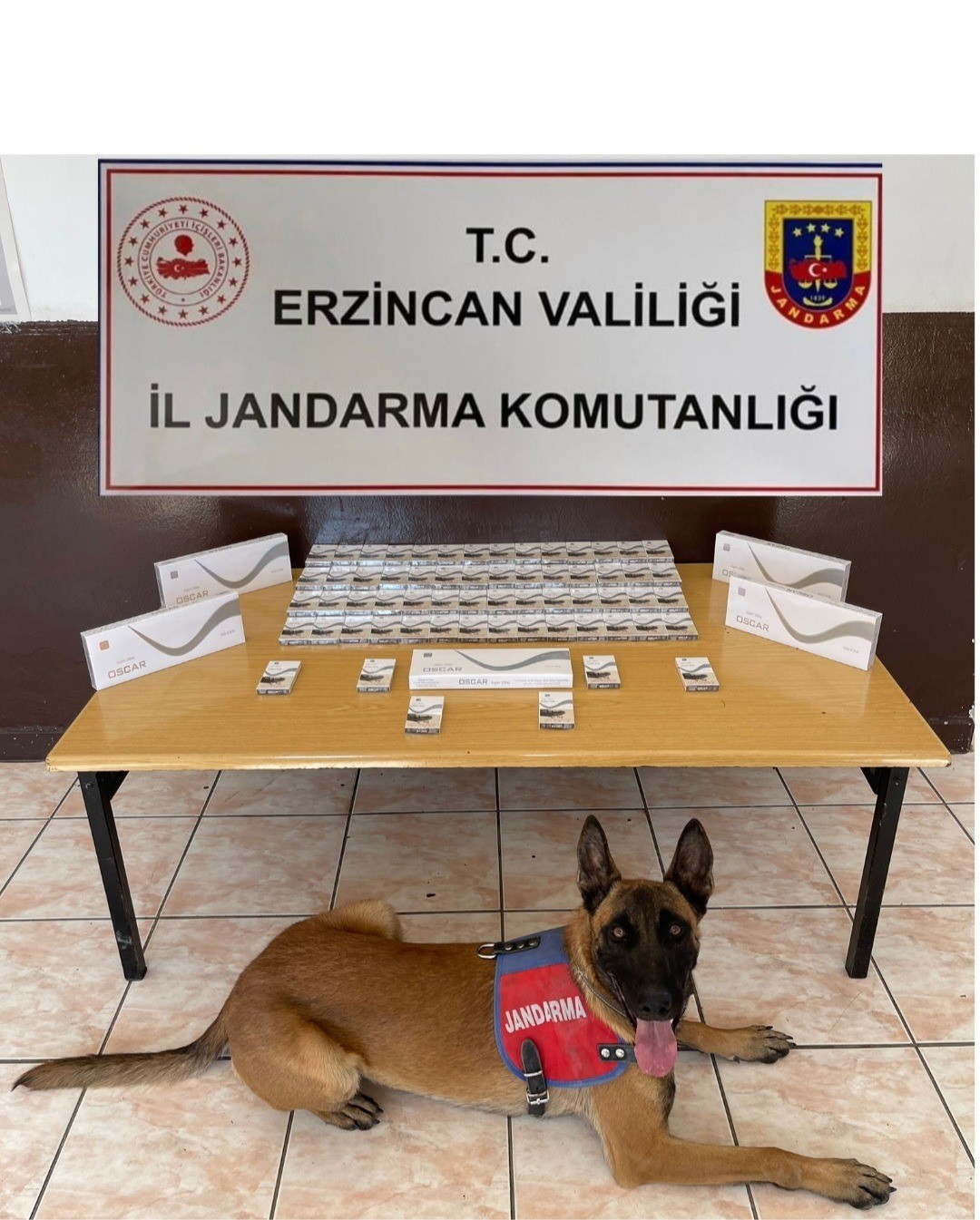 Erzincan&rsquo;da jandarma ka&ccedil;ak&ccedil;ılık olaylarına ge&ccedil;it vermiyor
