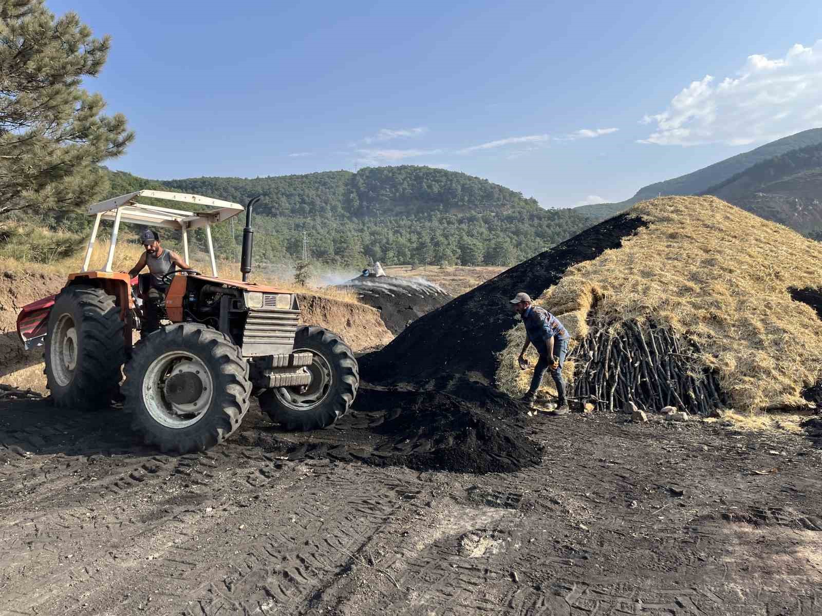 (ÖZEL) Odun öbeklerinin karşısından günlerce süren kömür nöbeti