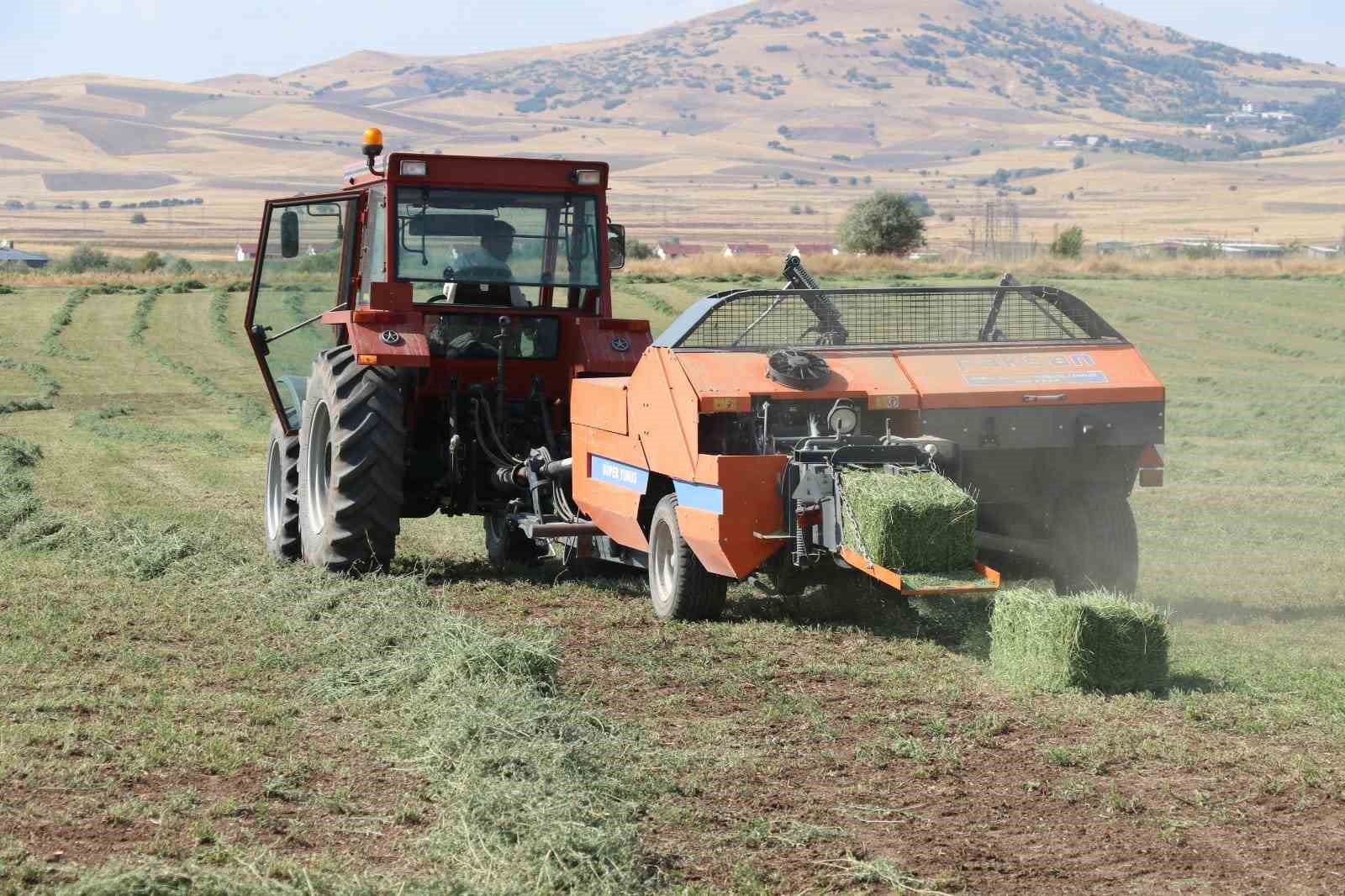 Elazığ’da balyalama  mesaisi başladı