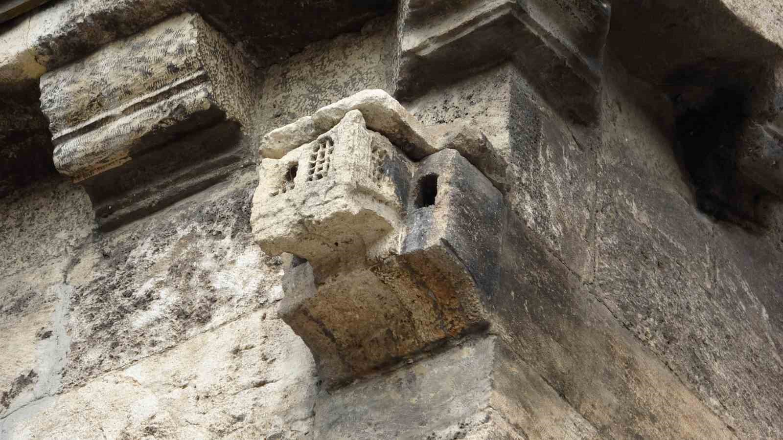 Zamana meydan okuyor, ecdadın hayvan sevgisini gözler önüne seriyor