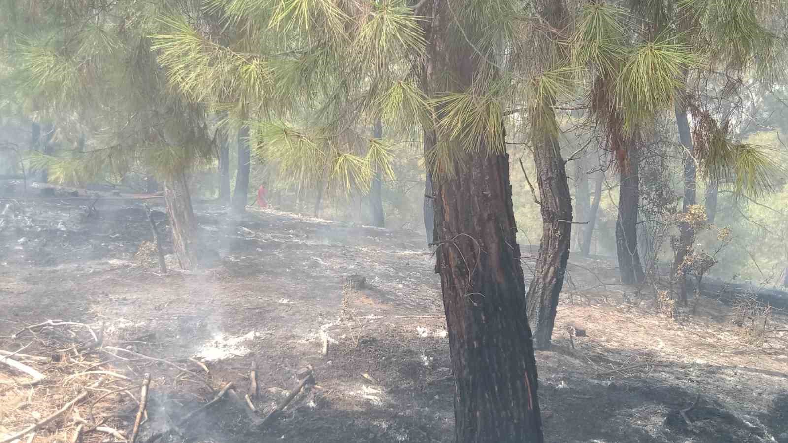 Kozan’daki orman yangını kontrol altına alındı 