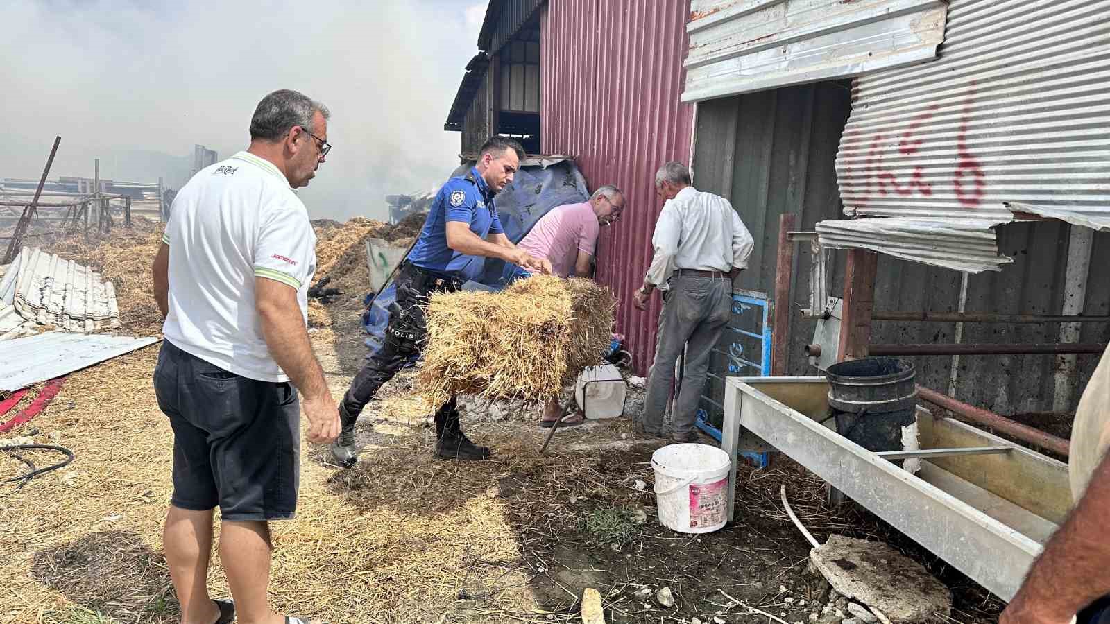 &Ccedil;anakkale&rsquo;de &ccedil;ıkan yangında 2 hayvan telef oldu
