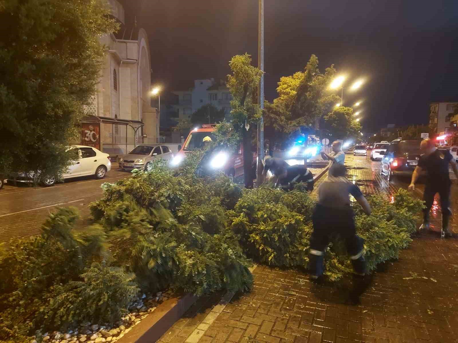 Manisa’da fırtına ağaçları devirdi