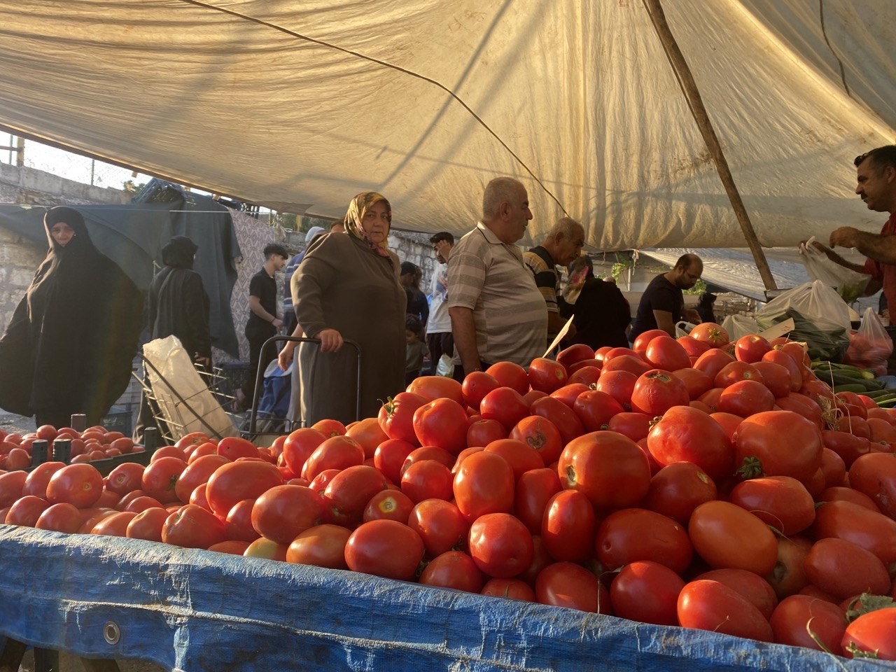 Salçalık domates ve biberler tezgahlarda