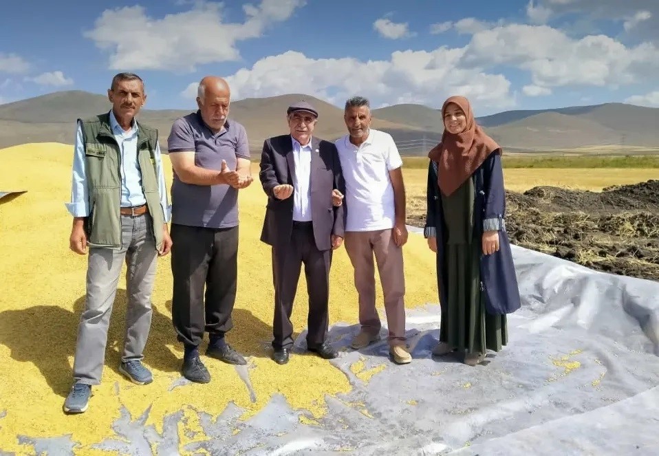 TMO Ardahan’da ilk kez hububat alıma başladı