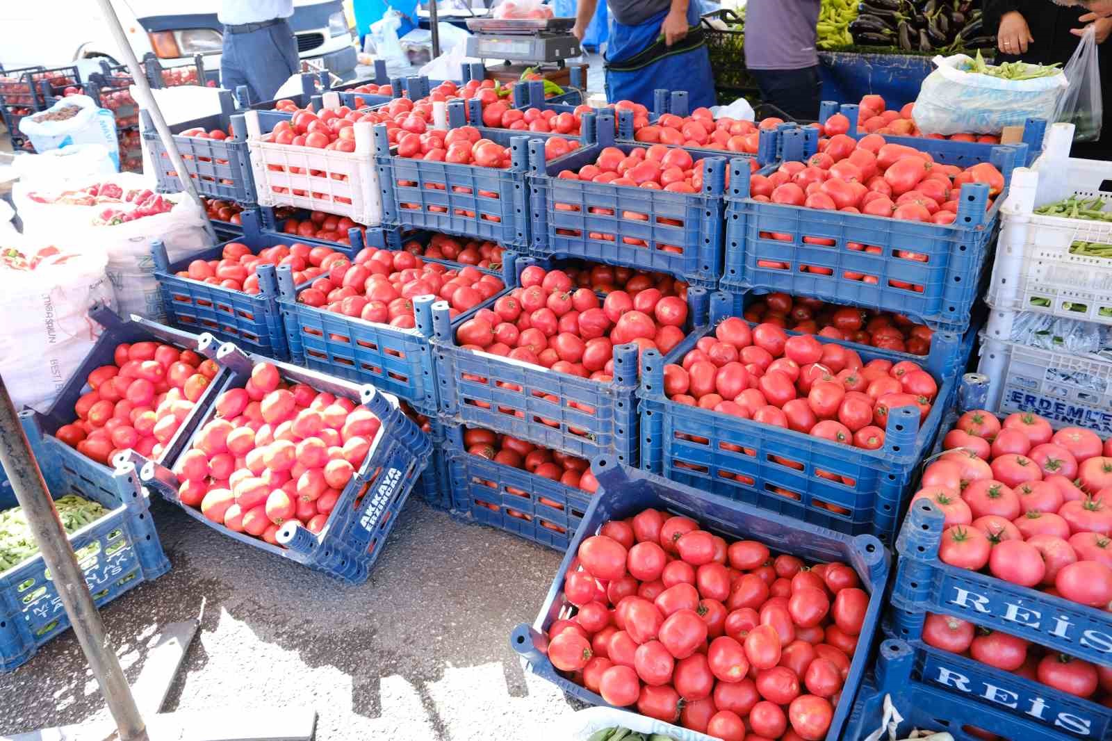 Erzincan&rsquo;da sal&ccedil;alık domates ve biberler tezgahlarda
