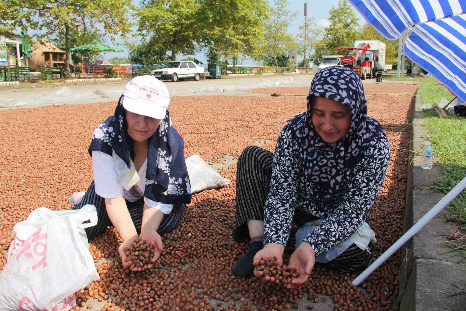 Serbest piyasada fındık fiyatları yükselme eğilimine girdi