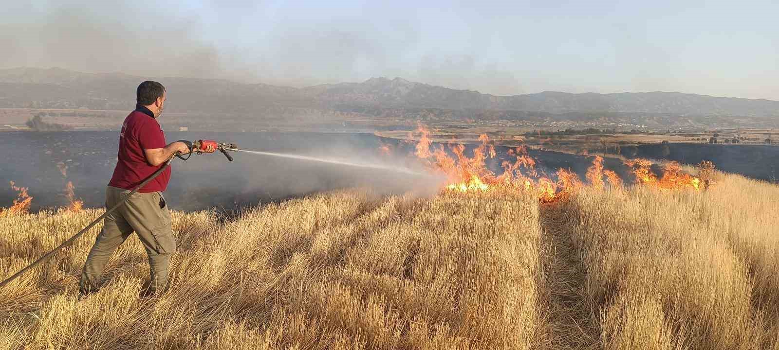 Bingöl’de çıkan ot yangını ekipler tarafından söndürüldü