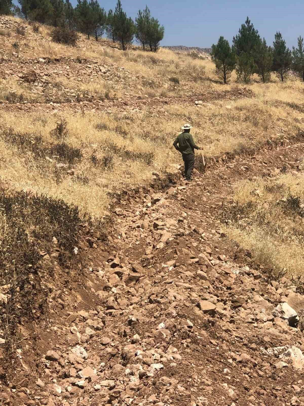 Mardin&rsquo;de hedef 2023 yılı sonuna kadar 500 bin fidan dikimi

