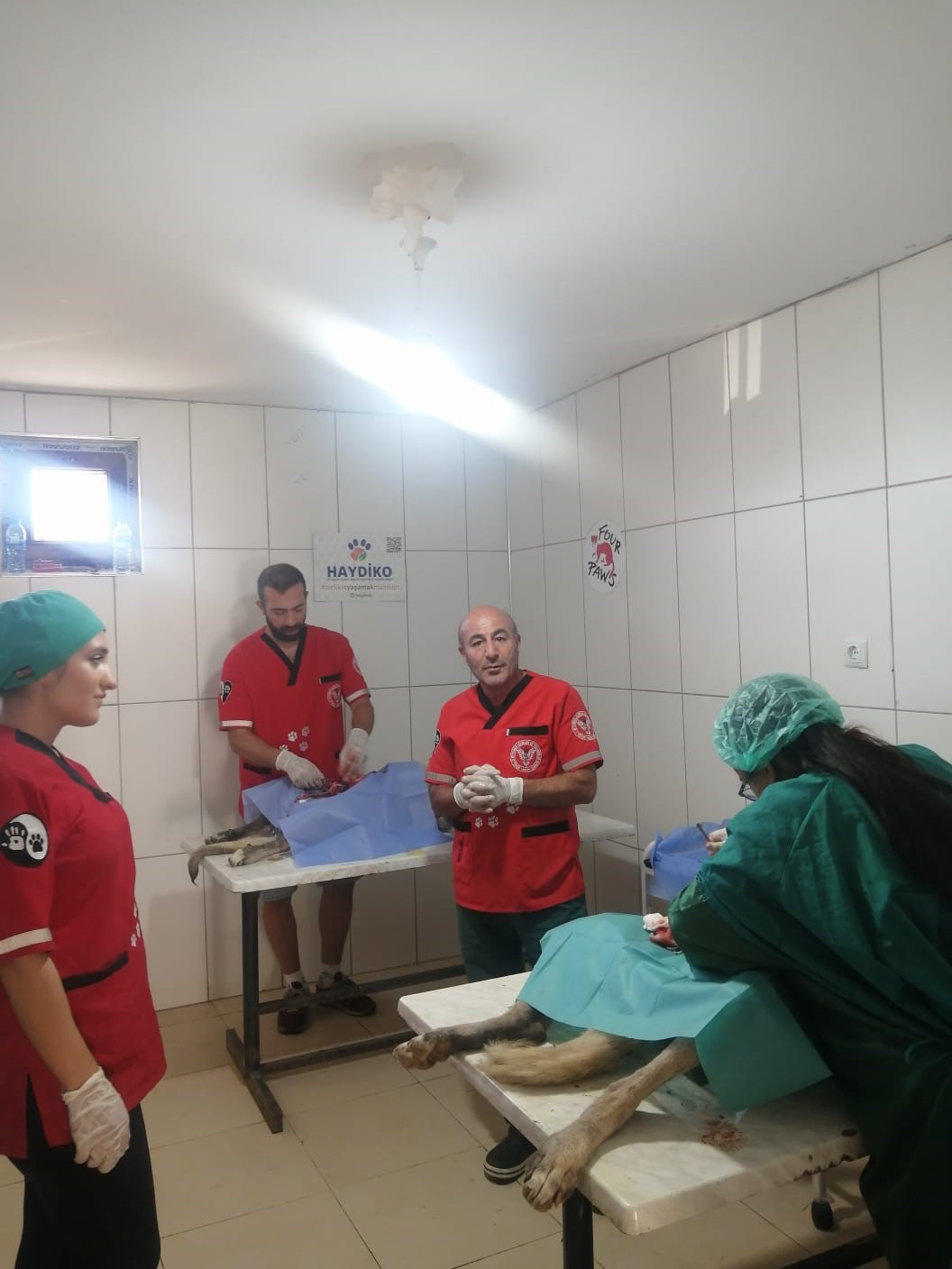 Elbistan&rsquo;a hayvan hastanesi kuruluyor
