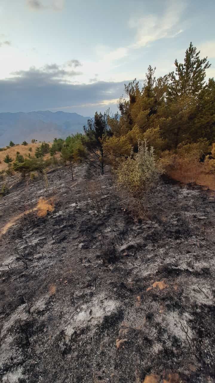 Gümüşhane’de iki köyde yangın paniği