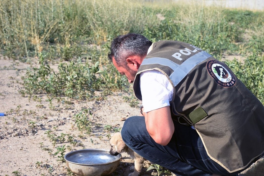 Erzincan&rsquo;da HAYDİ ekipleri can dostları unutmuyor
