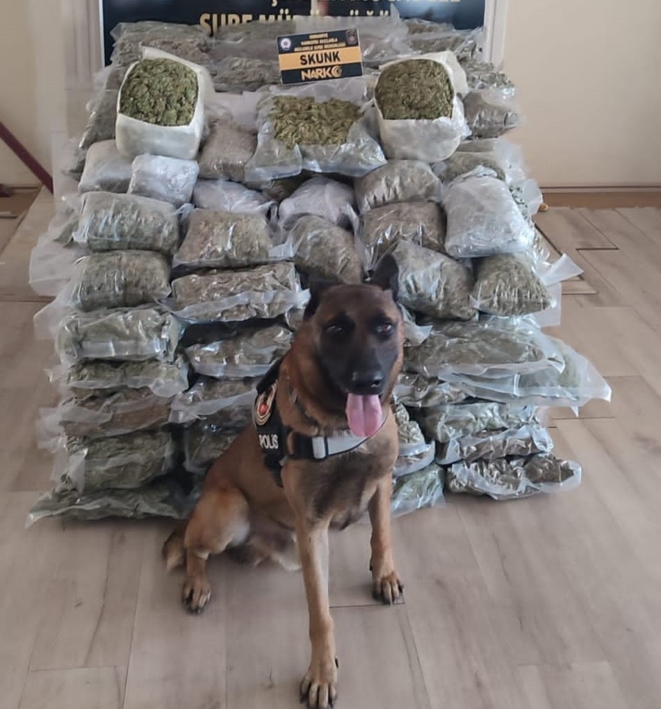 Osmaniye’de 103 kilo 700 gram skunk ele geçirildi
