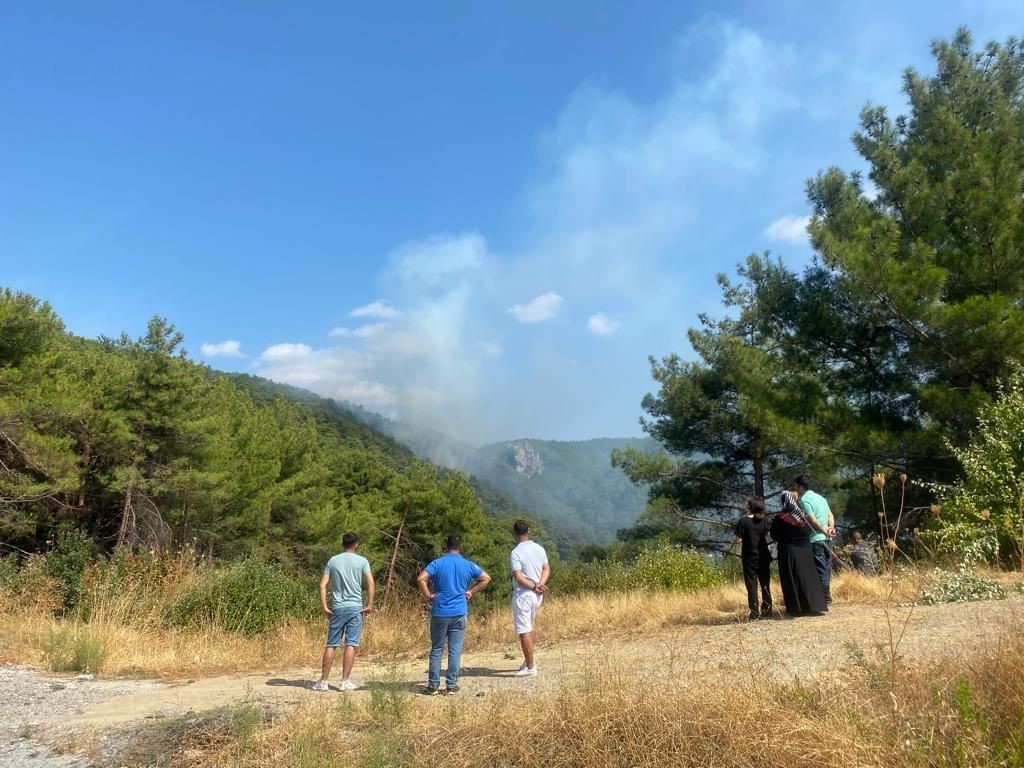 Yangına 2 helikopter ve 4 u&ccedil;akla m&uuml;dahale ediliyor
