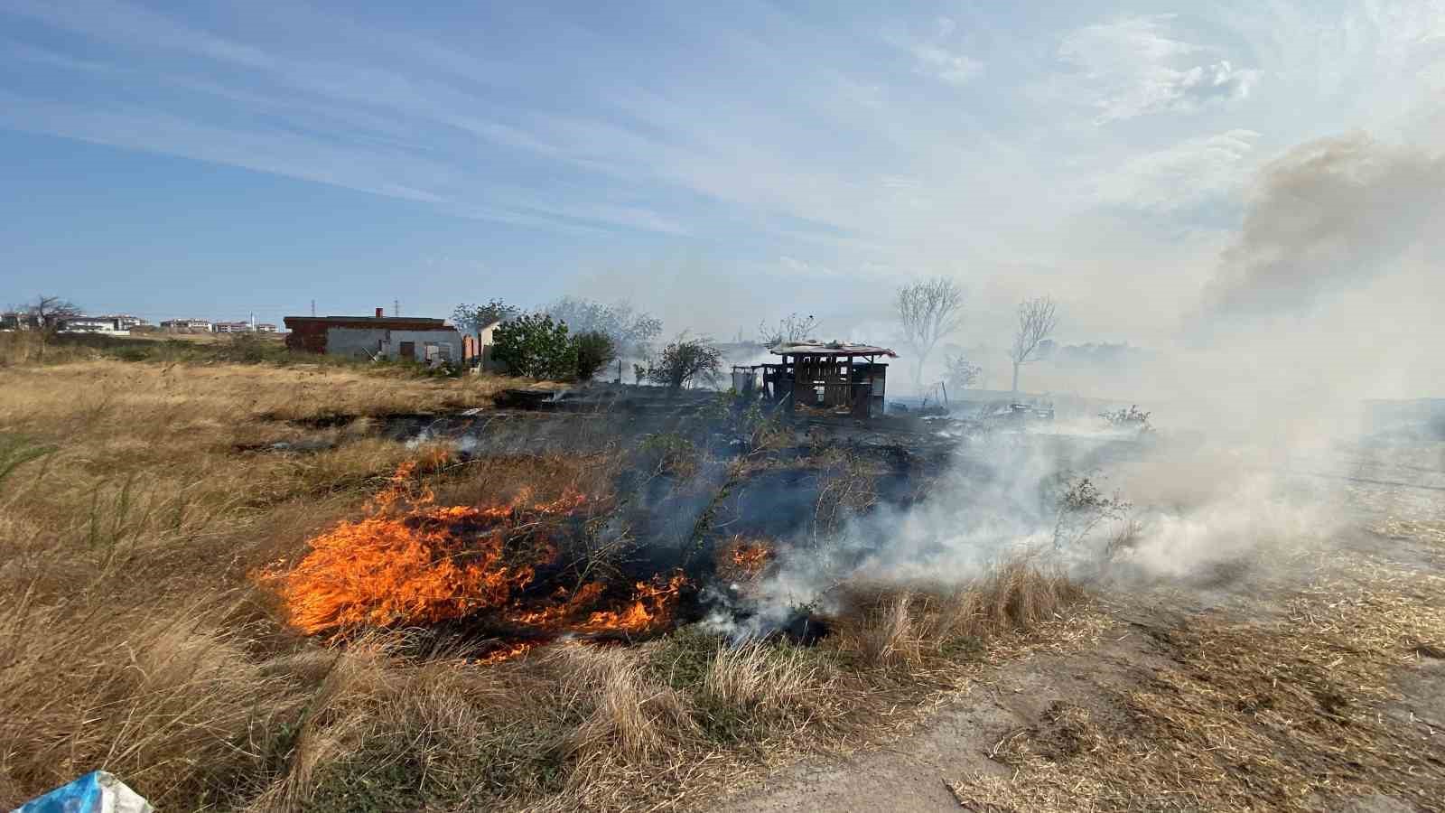 Anız yangını köpek barınağını küle çevirdi: Av köpekleri son anda kurtarıldı