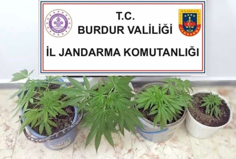 Burdur&rsquo;da jandarmadan uyuşturucu operasyonu
