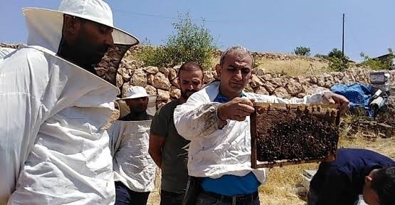 Siirt&rsquo;te arıcılara 3 bin adet kovan hibe edilecek
