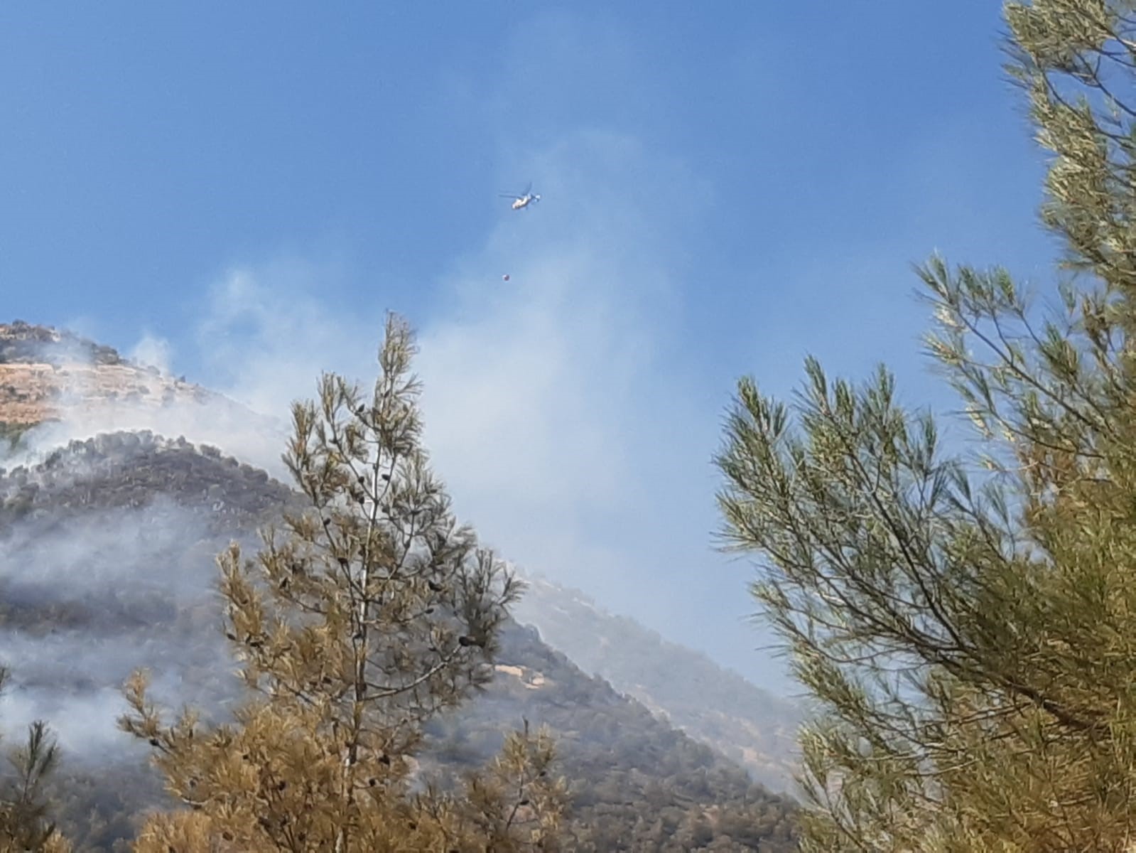 Kahramanmaraş&rsquo;ta orman yangını
