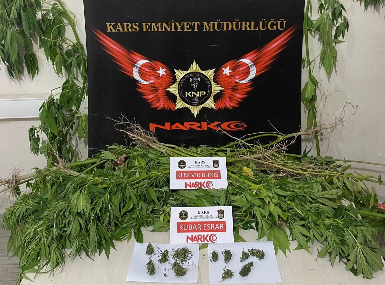 Kağızman’da esrar ve hint keneviri ele geçirildi