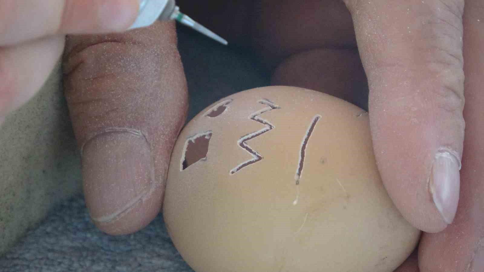 Yumurta kabuğundan sanatı &ccedil;ocuklara &ouml;ğretti
