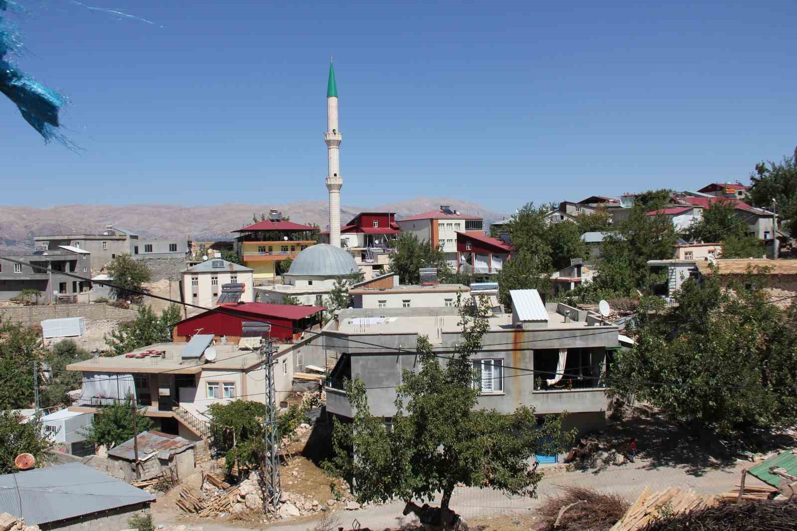 Sahibini ısıran at kuduz &ccedil;ıktı, k&ouml;y karantinaya alındı
