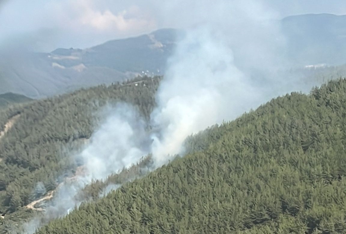 Osmaniye Düziçi ilçesinde orman yangını başladı