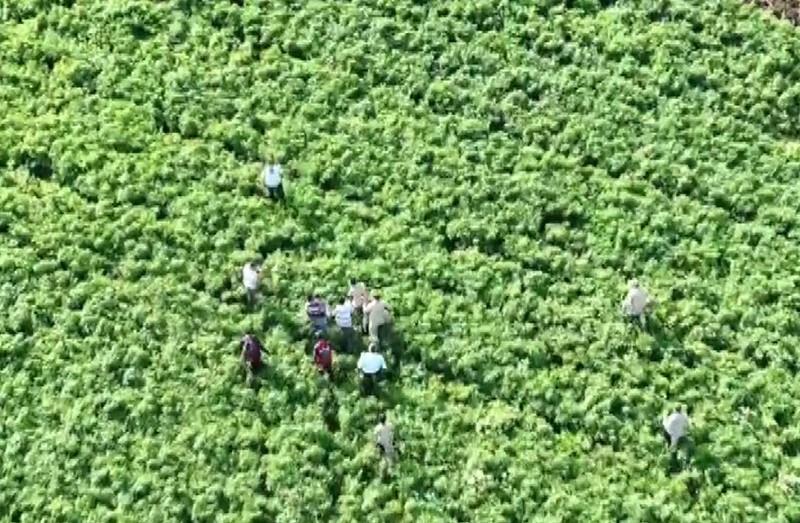 Gaziantep’te akşam saatlerinde kaybolan 2,5 yaşındaki çocuk sabah bulundu
