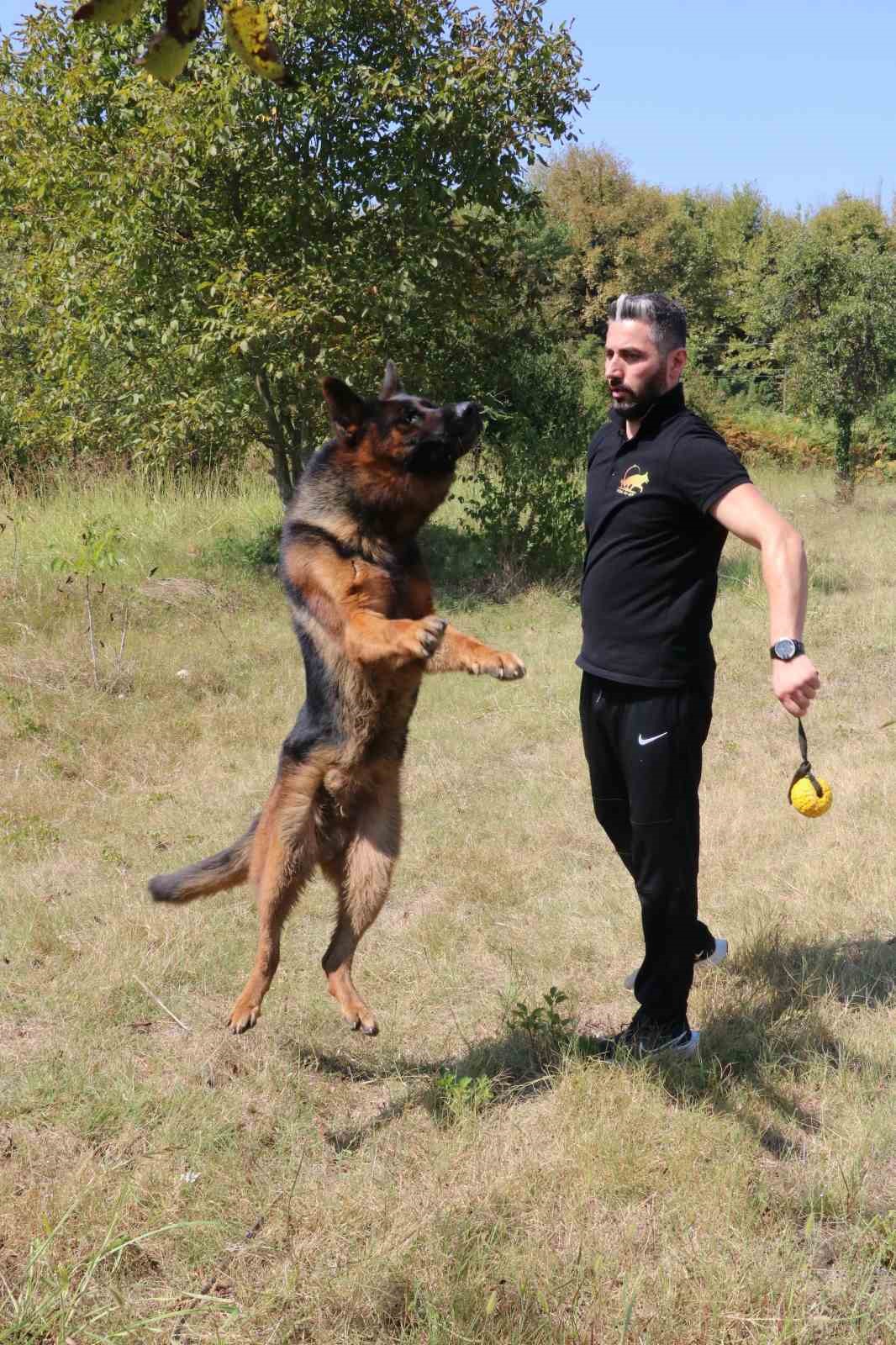 Hayatını k&ouml;peklerine adadı, şimdi de g&ouml;z&uuml;n&uuml; d&uuml;nya şampiyonluğuna dikti
