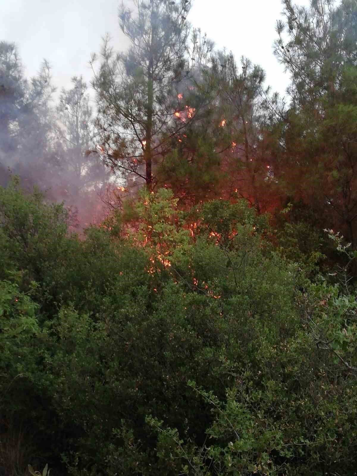 Tokat&rsquo;taki orman yangını ekipleri harekete ge&ccedil;irdi

