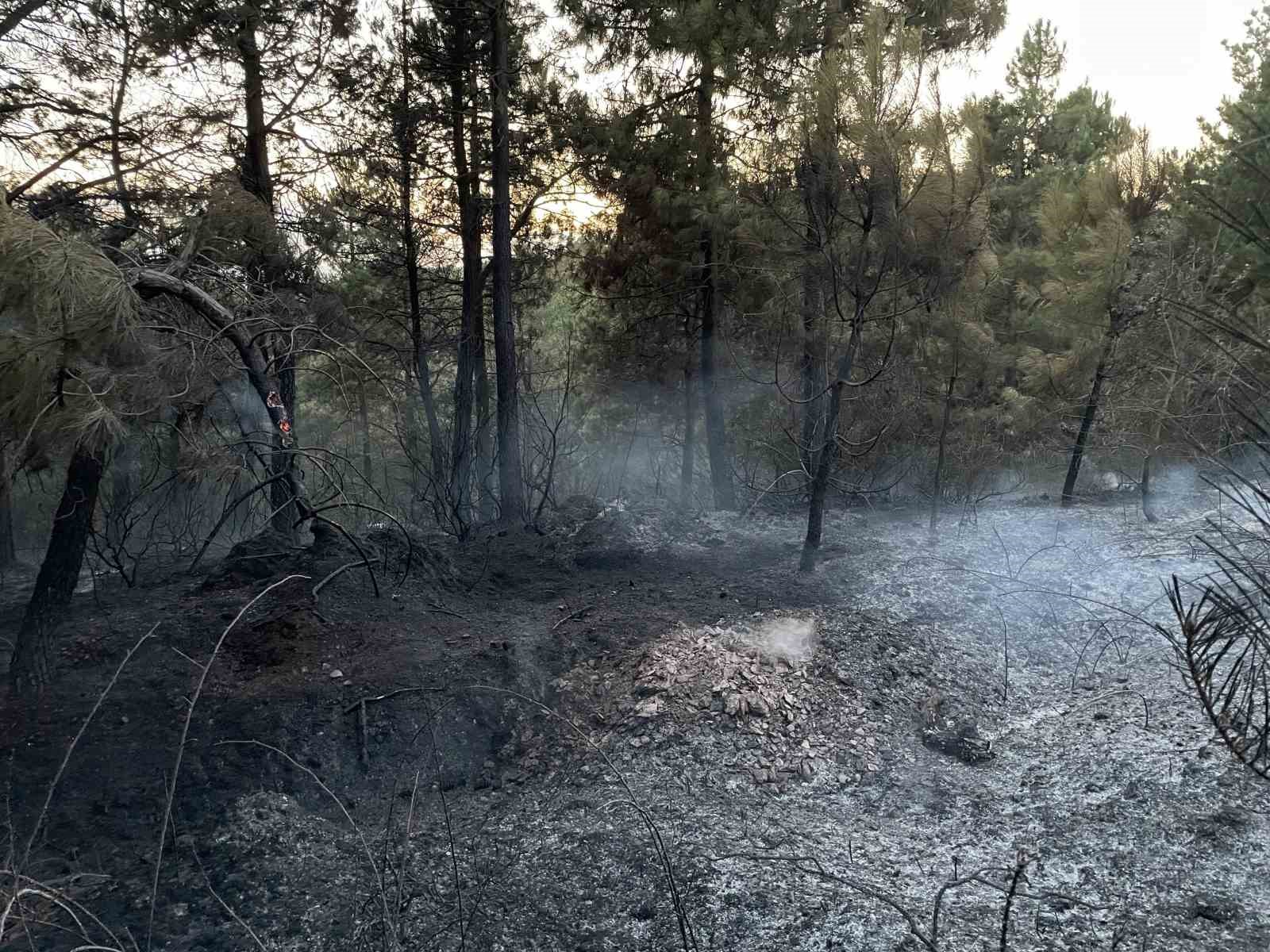 Alevler arasında yaşam savaşı: Yanan kaplumbağayı ekipler böyle kurtardı